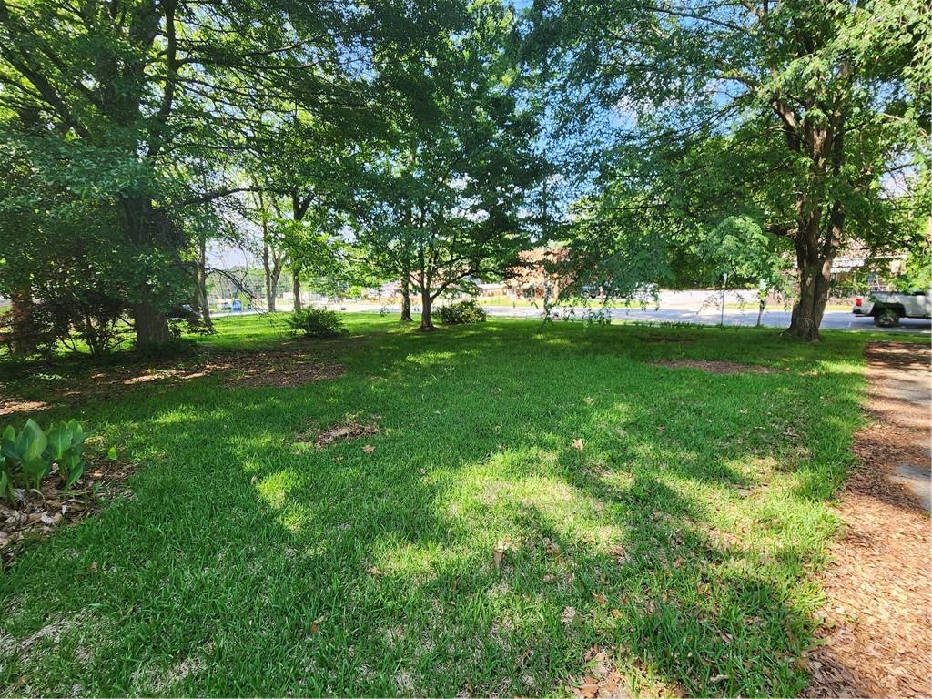 688 Main Street Whitesburg, GA 30185 - Photo 24 of 34 a view of a trees in a yard