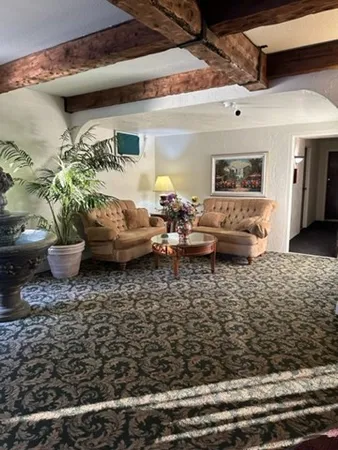 a living room with furniture and a potted plant