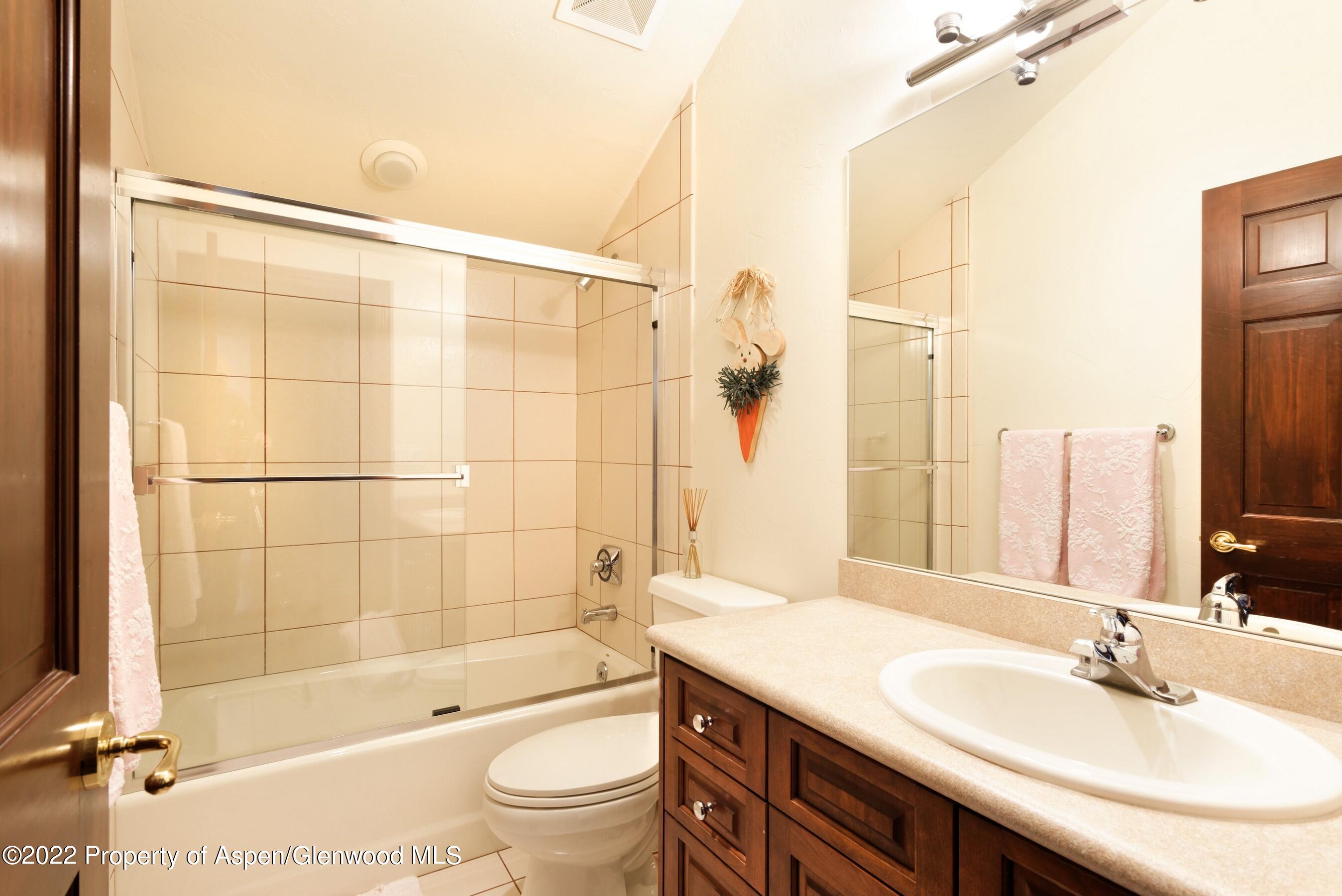 84 Diamond A Ranch Road Carbondale, CO 81623 - Photo 25 of 32 a bathroom with a sink a toilet and shower