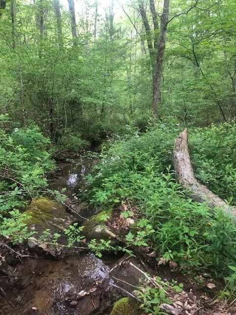 887 Swicegood Road Crossville, TN 38571 - Photo 13 of 19