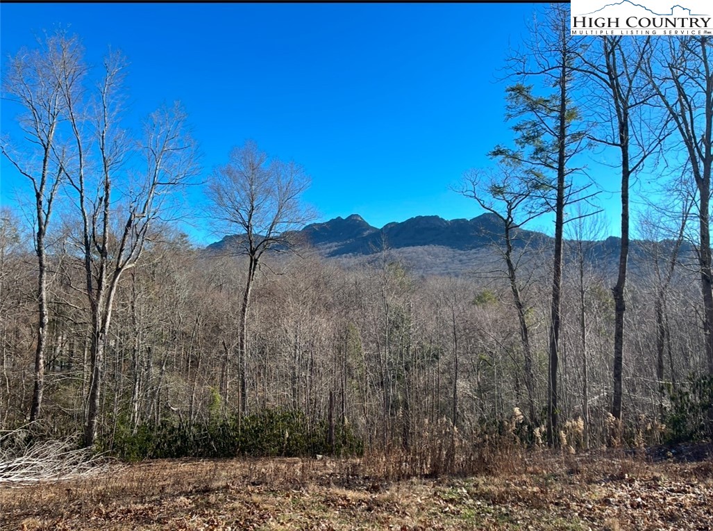 636 Ridge Drive Linville, NC 28646 - Photo 1 of 2 Gallery Image 1