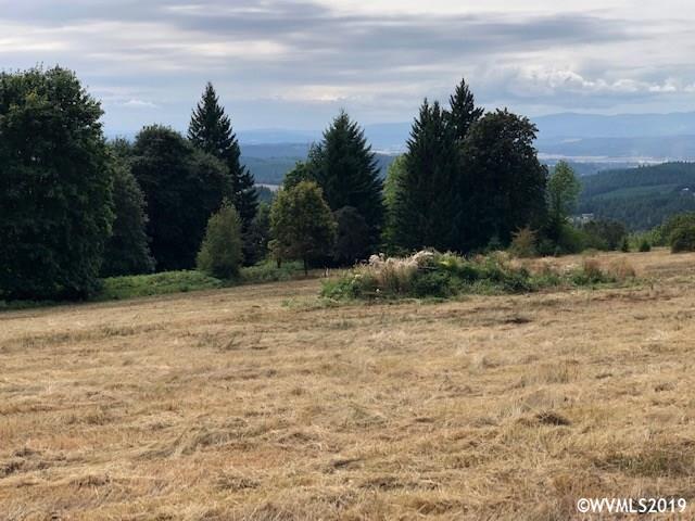 Richardson (parcel 2) Road Dallas, OR 97338 - Photo 8 of 14