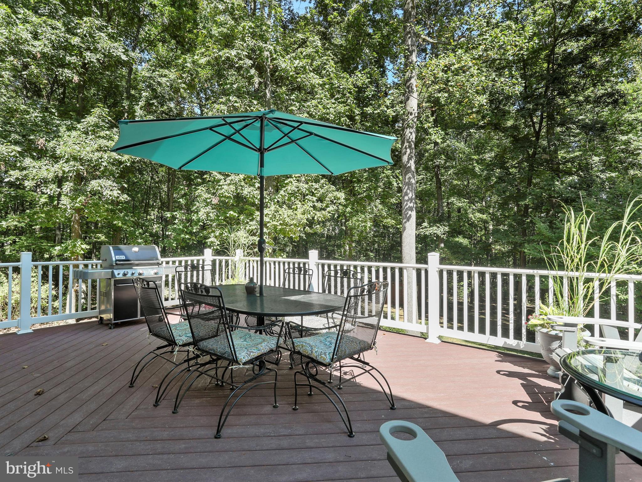 10031 Pine Tree Road Woodsboro, MD 21798 - Photo 52 of 72 Gallery Image 52