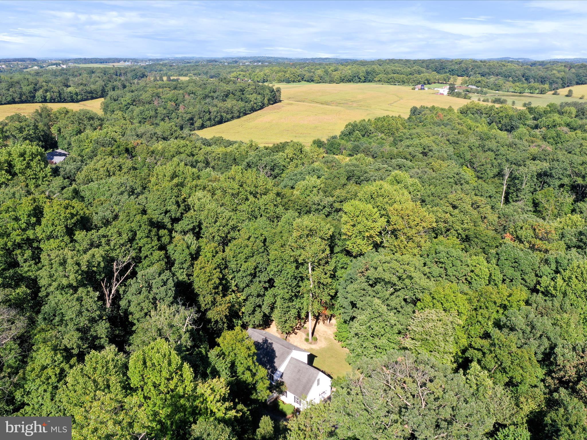 10031 Pine Tree Road Woodsboro, MD 21798 - Photo 71 of 72 Gallery Image 71