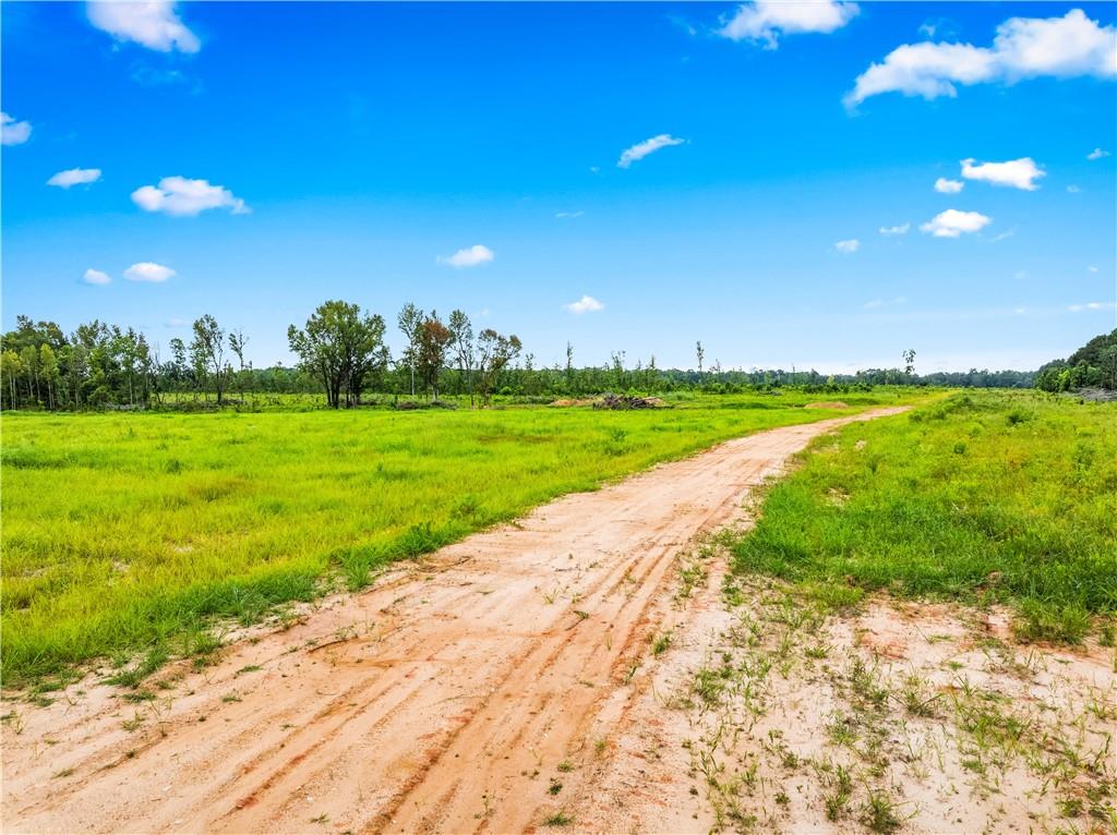 0 McNary Cutoff Road Glenmora, LA 71433 - Photo 4 of 8