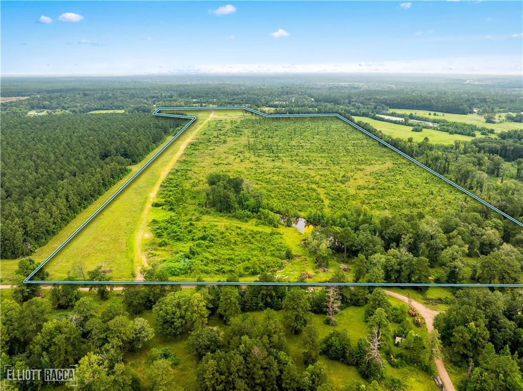 0 McNary Cutoff Road Glenmora, LA 71433 - Photo 6 of 8