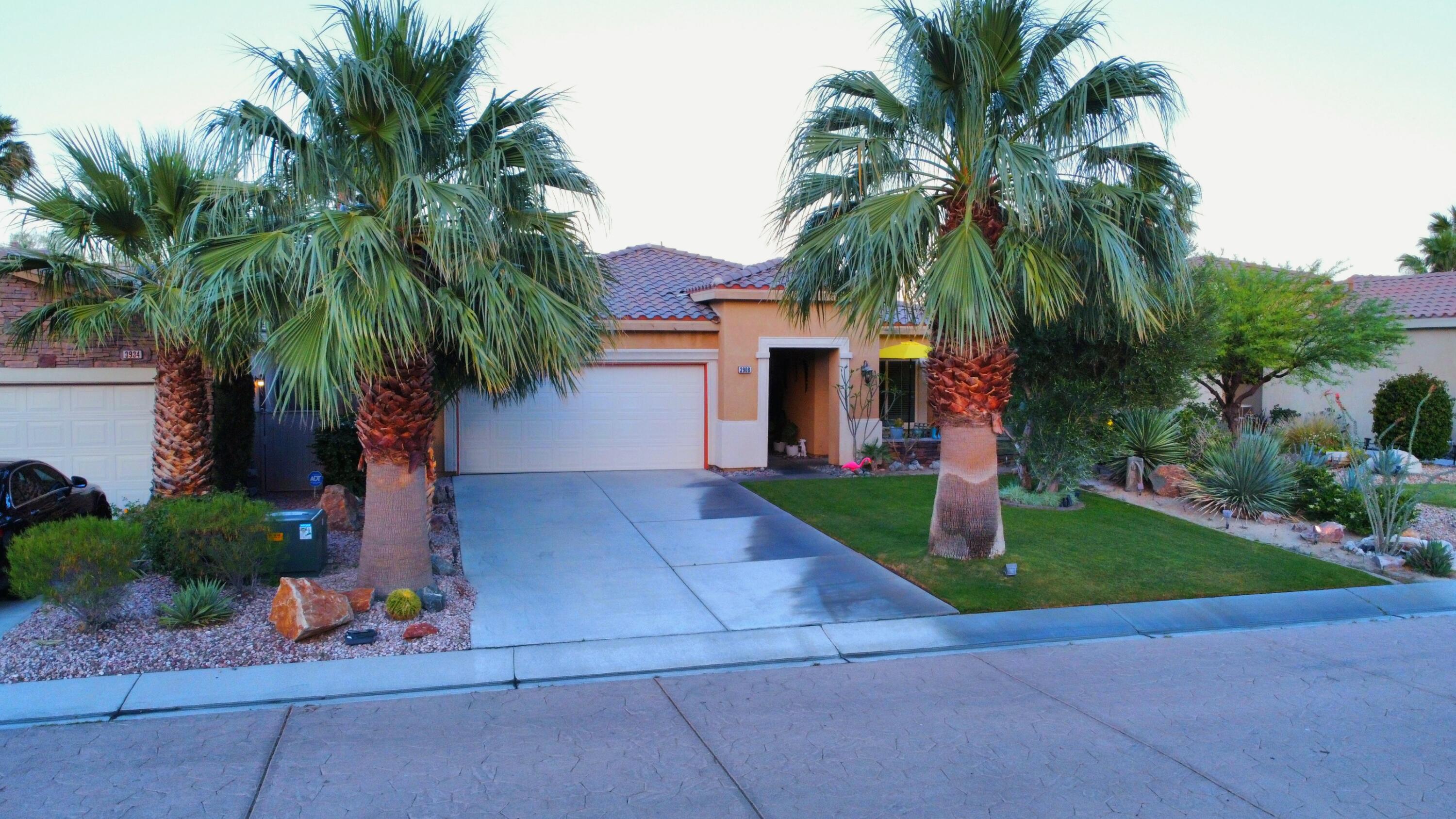 a palm tree sitting in front of a house with a small yard and palm trees