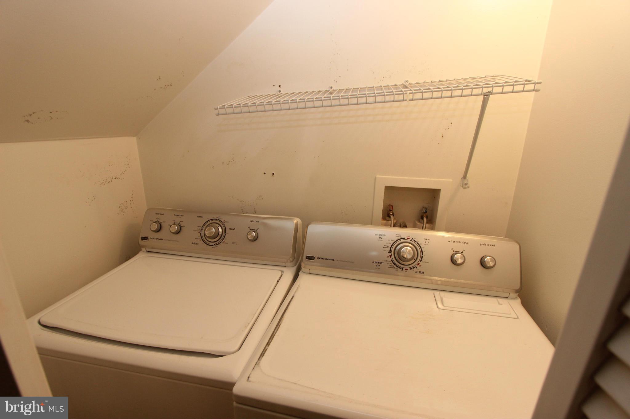 251 8th Street Northeast Washington, DC 20002 - Photo 14 of 16 Interior (General)