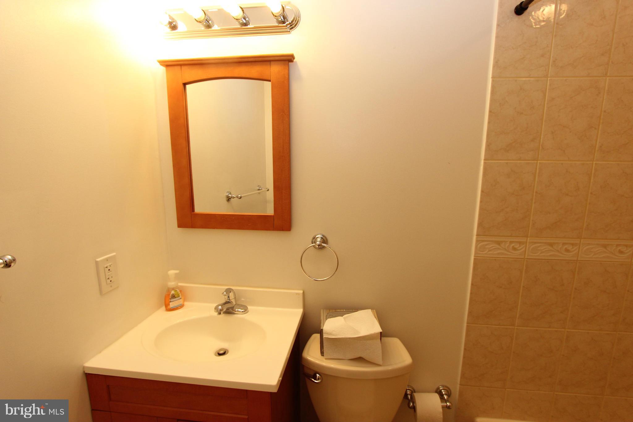 251 8th Street Northeast Washington, DC 20002 - Photo 15 of 16 Bath