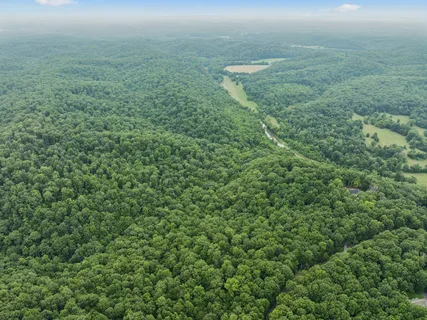 a view of a big yard with lots of bushes