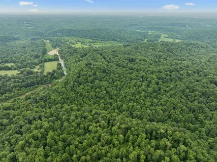 a view of a field with an ocean and trees