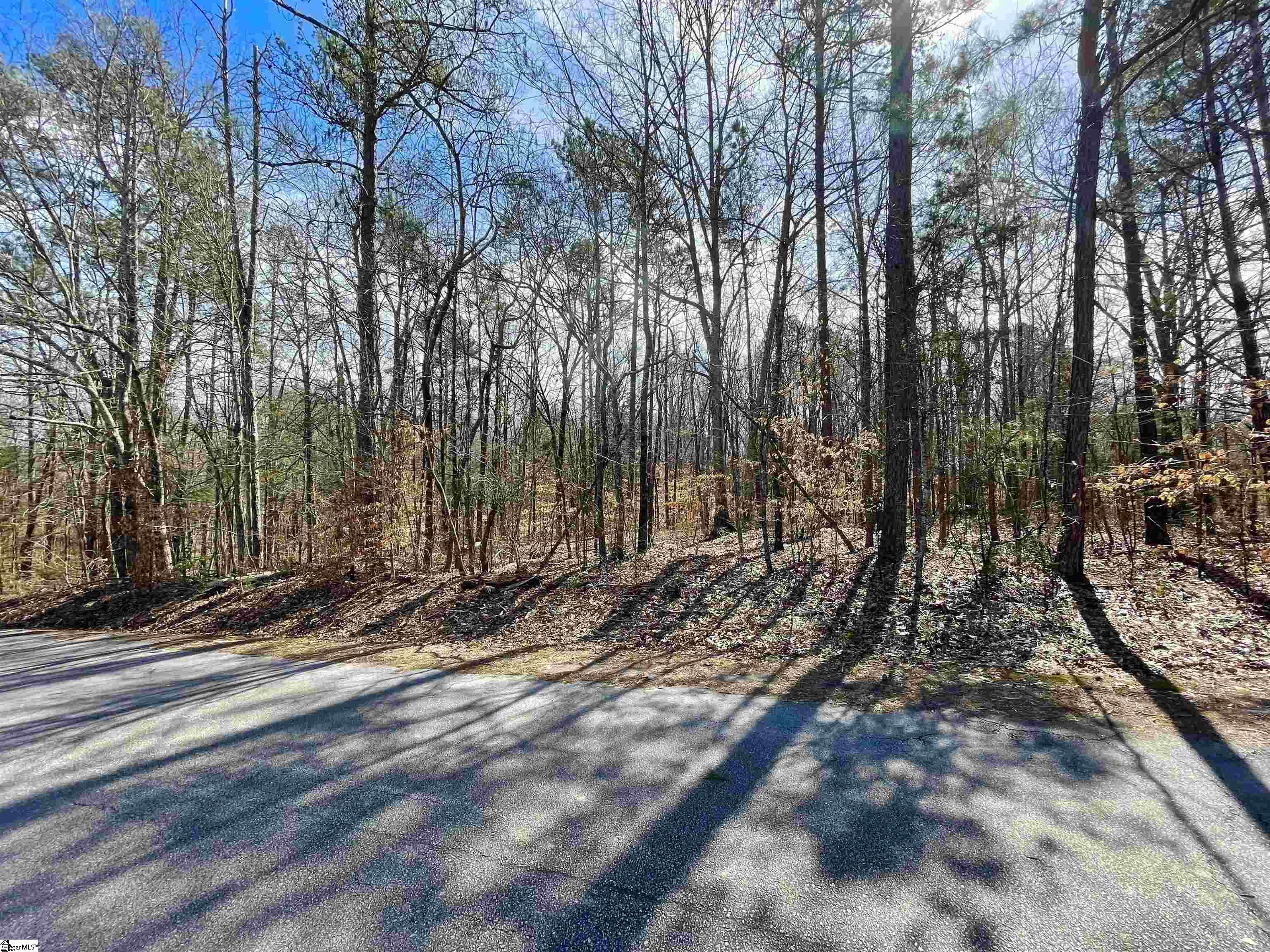 0 Robin Drive Fountain Inn, SC 29644 - Photo 11 of 16