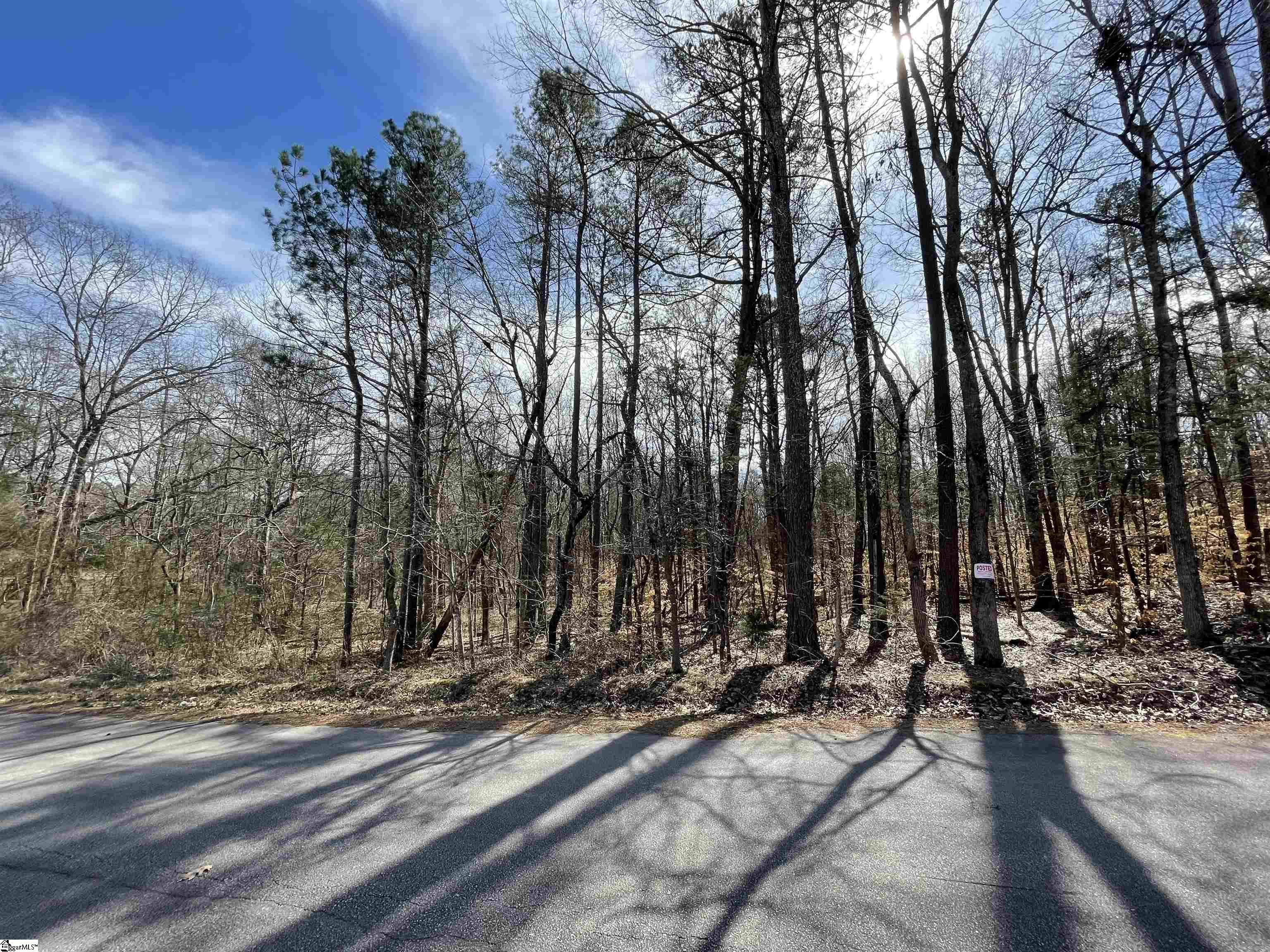 0 Robin Drive Fountain Inn, SC 29644 - Photo 13 of 16