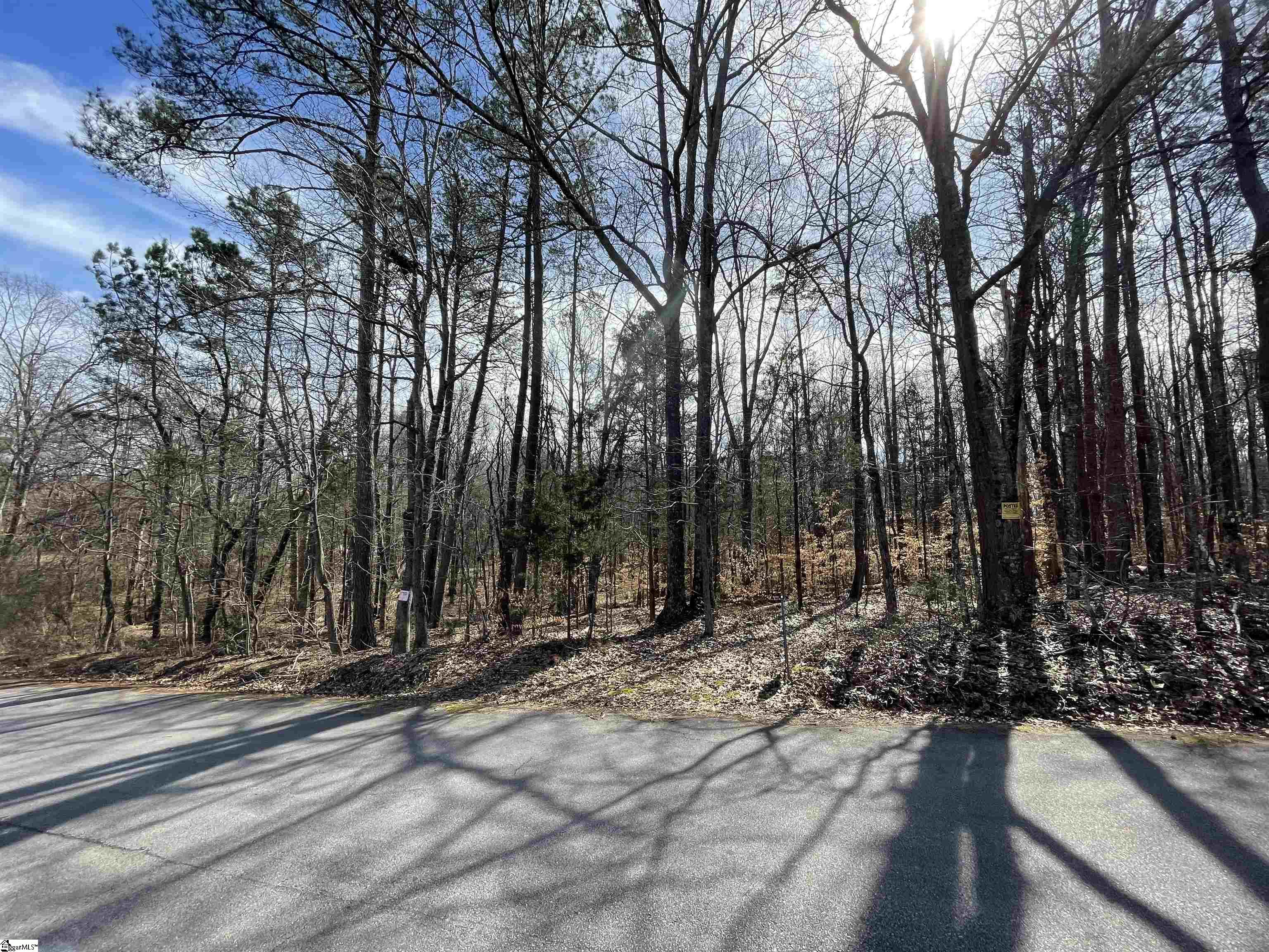 0 Robin Drive Fountain Inn, SC 29644 - Photo 14 of 16