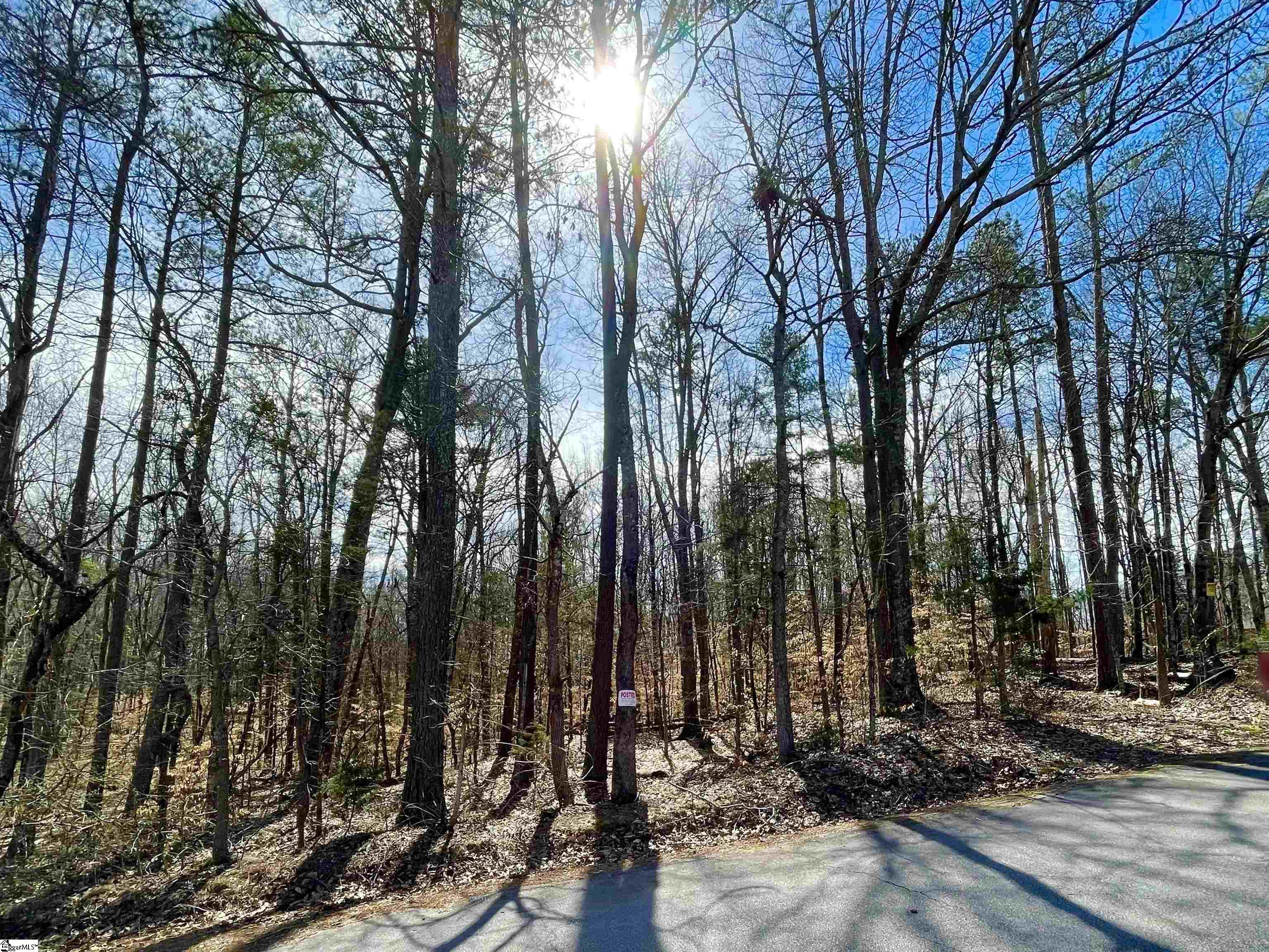 0 Robin Drive Fountain Inn, SC 29644 - Photo 3 of 16