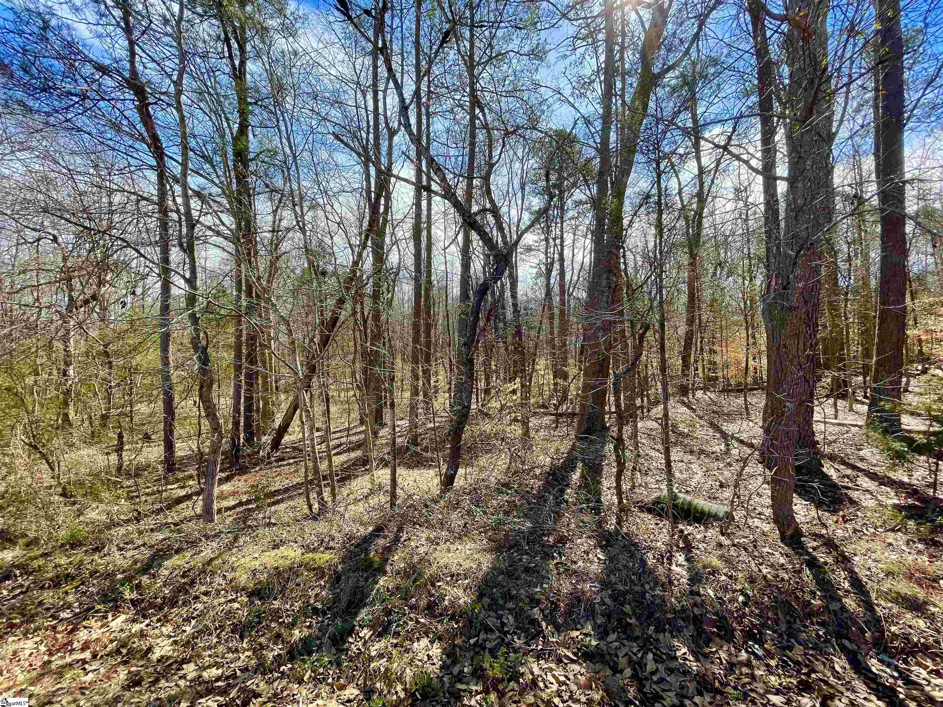 0 Robin Drive Fountain Inn, SC 29644 - Photo 7 of 16