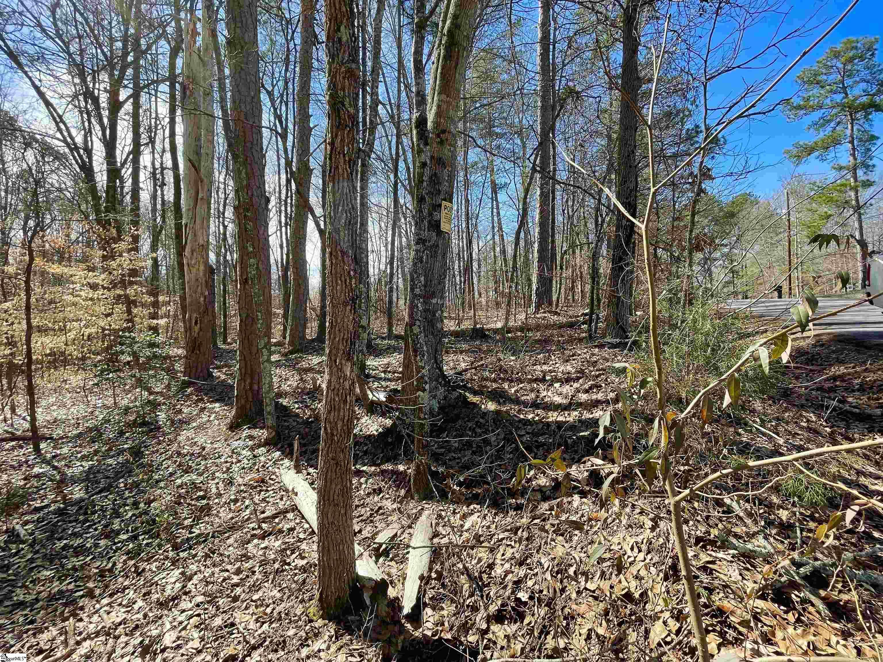 0 Robin Drive Fountain Inn, SC 29644 - Photo 8 of 16