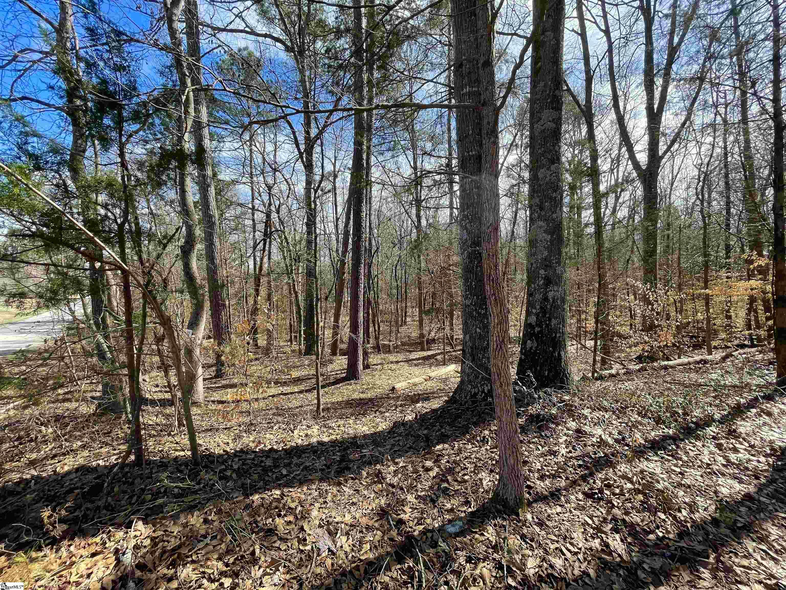 0 Robin Drive Fountain Inn, SC 29644 - Photo 9 of 16