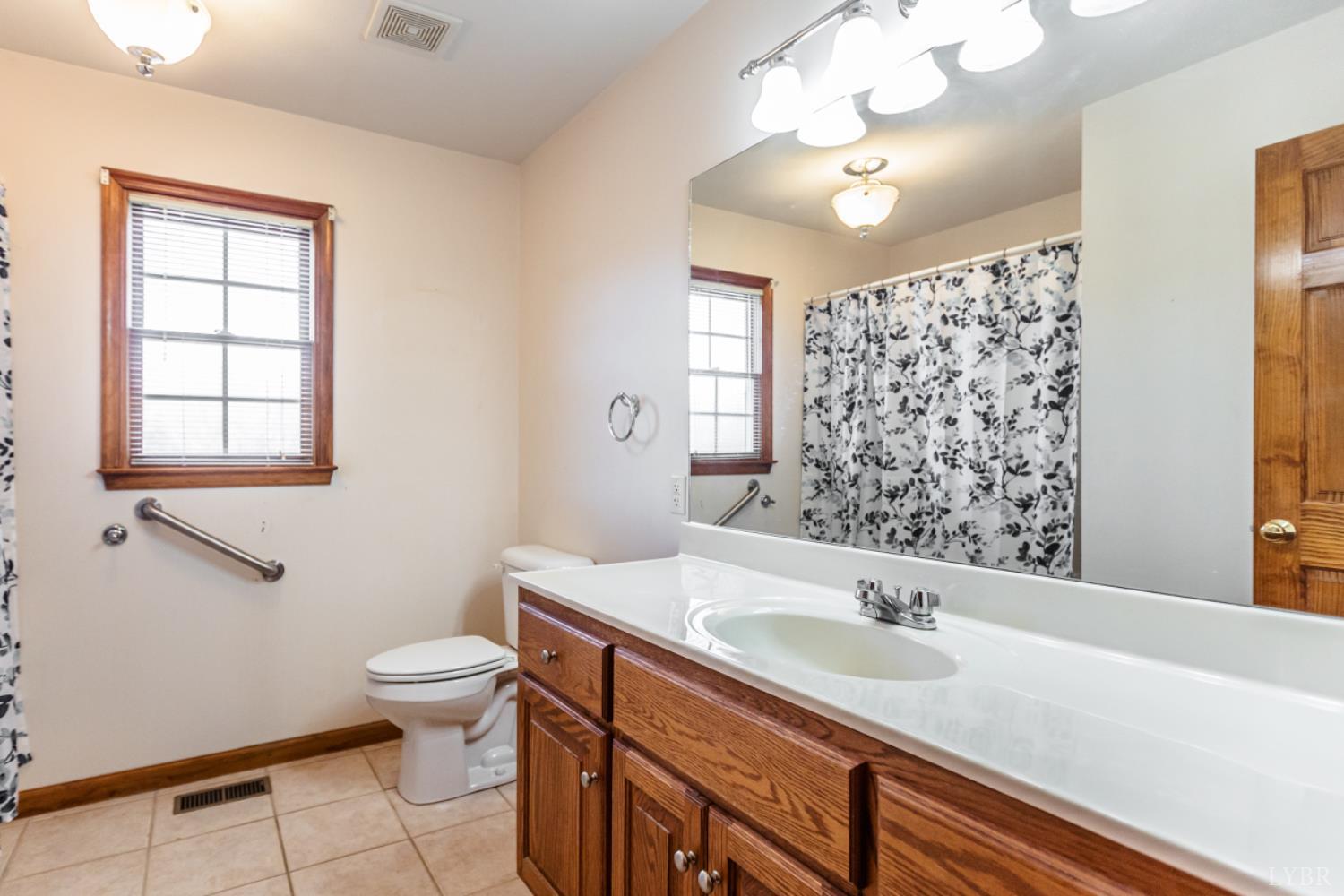 1975 Morning Star Road Appomattox, VA 24522 - Photo 22 of 29 a bathroom with a sink a toilet and a mirror