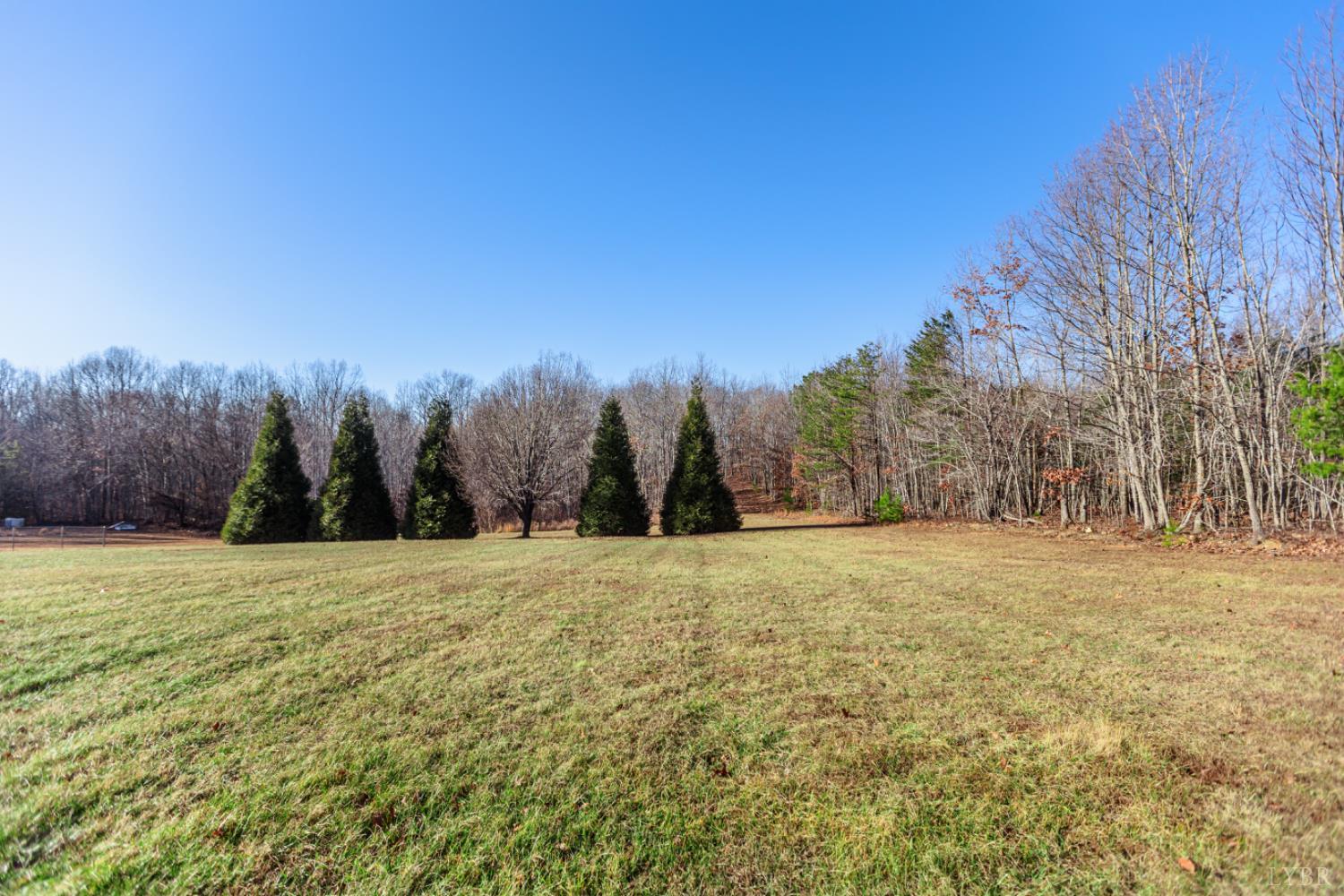 1975 Morning Star Road Appomattox, VA 24522 - Photo 23 of 29 a view of a field with trees in the background