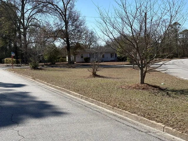 a park view with tree