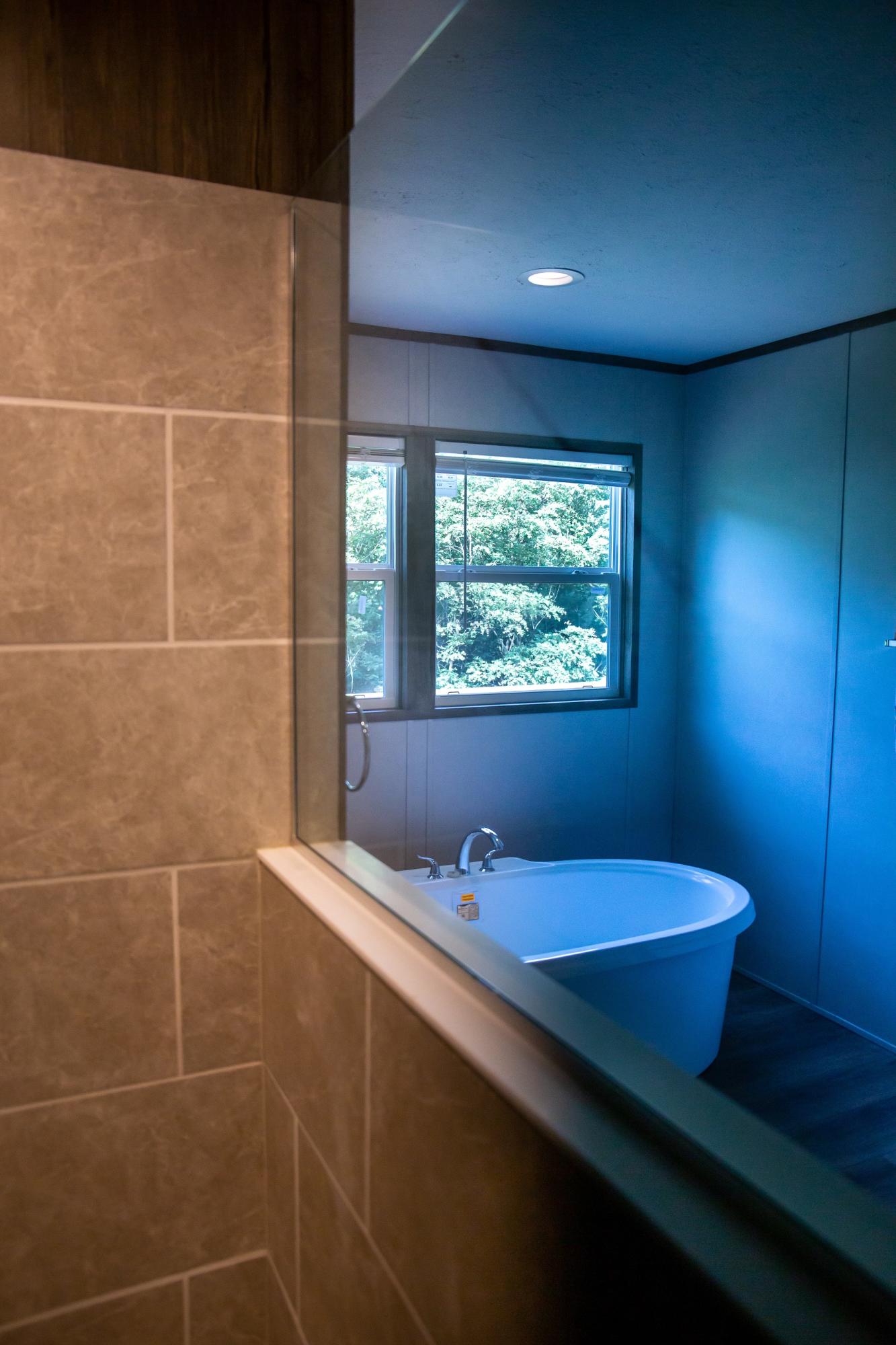 7400 Hardy Road Hardy, VA 24101 - Photo 25 of 57 a bathroom with a sink and a large mirror