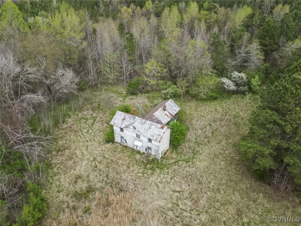 394 Tower Road Brodnax, VA 23920 - Photo 29 of 34 a view of a lush green forest with large trees