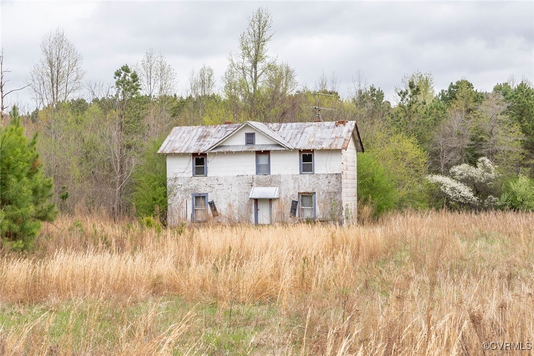 394 Tower Road Brodnax, VA 23920 - Photo 32 of 34 a view of a house with a yard and large tree