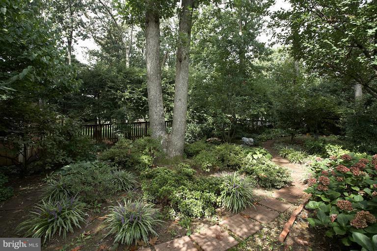 302 Summit Hall Road Gaithersburg, MD 20877 - Photo 6 of 23 Exterior (Rear)