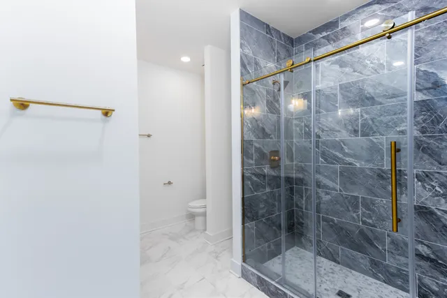 a bathroom with a shower and a toilet