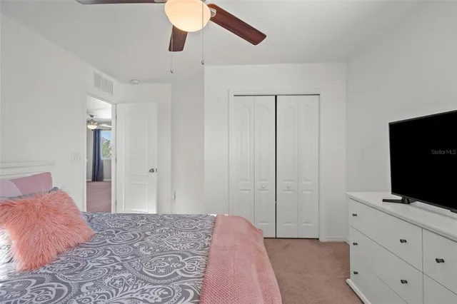 a view of a yard with plants and a fountain