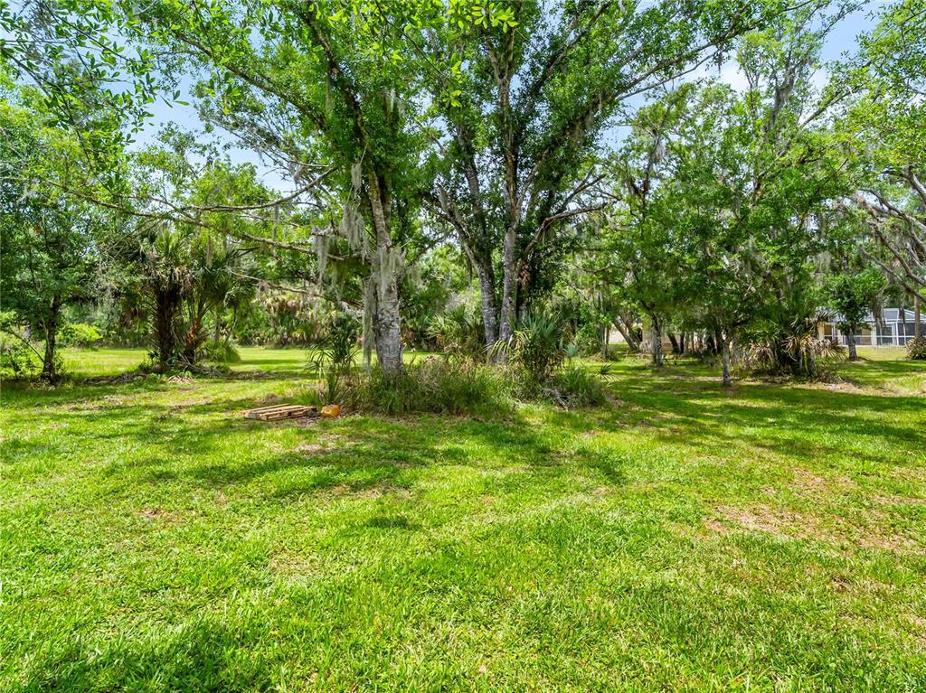 13505 Wild Citrus Road Sarasota, FL 34240 - Photo 9 of 69