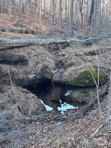 a view of a yard with plants and wooden fence