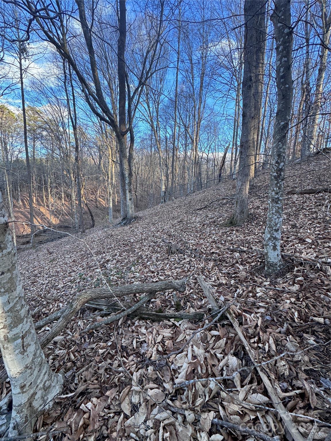 0 Creekside Circle, Unit 126 Rutherfordton, NC 28139 - Photo 11 of 16 a backyard of a house with lots of green space