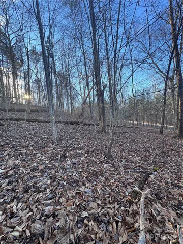a view of a yard with trees