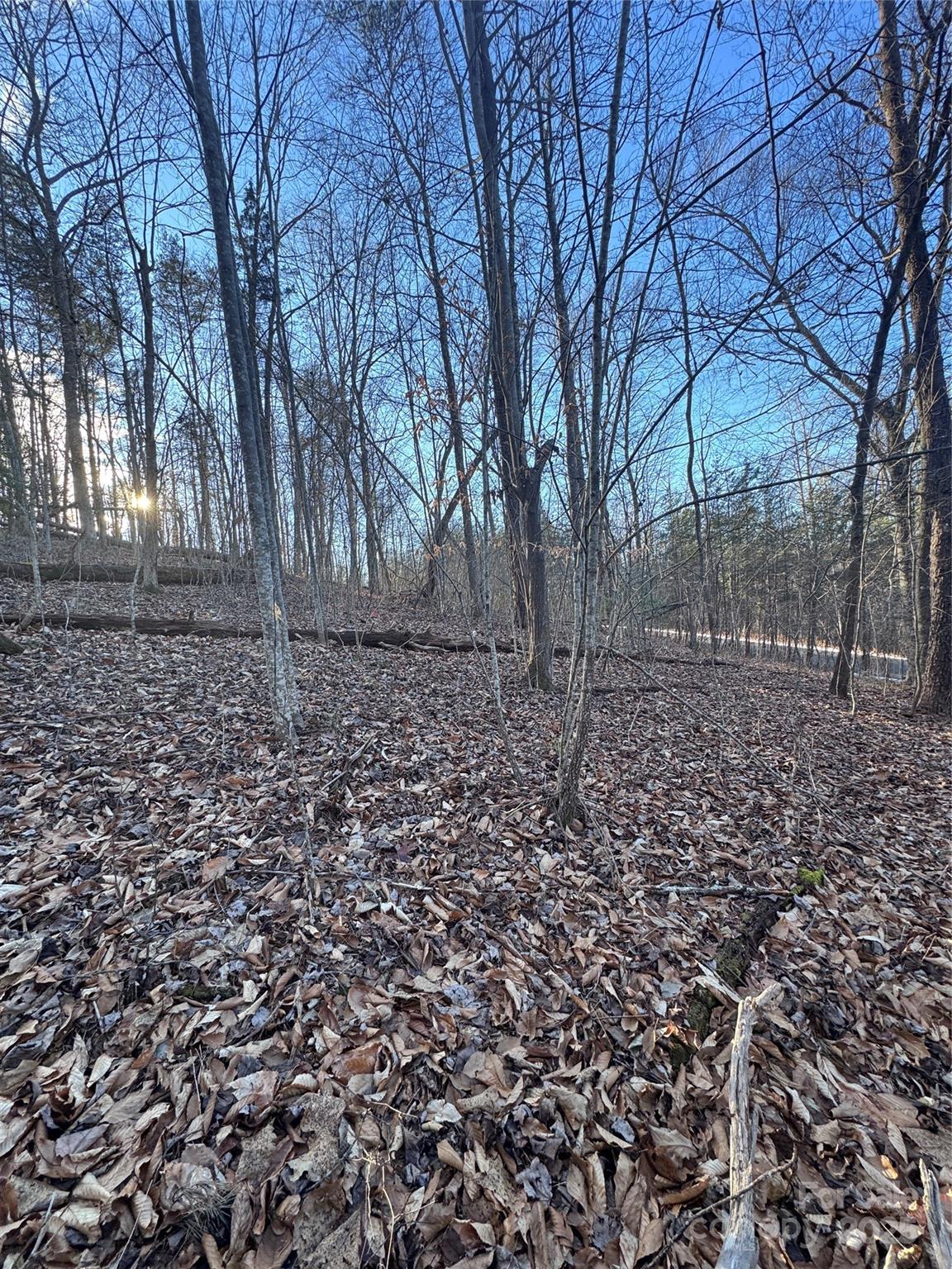 0 Creekside Circle, Unit 126 Rutherfordton, NC 28139 - Photo 12 of 16 a view of a yard with trees