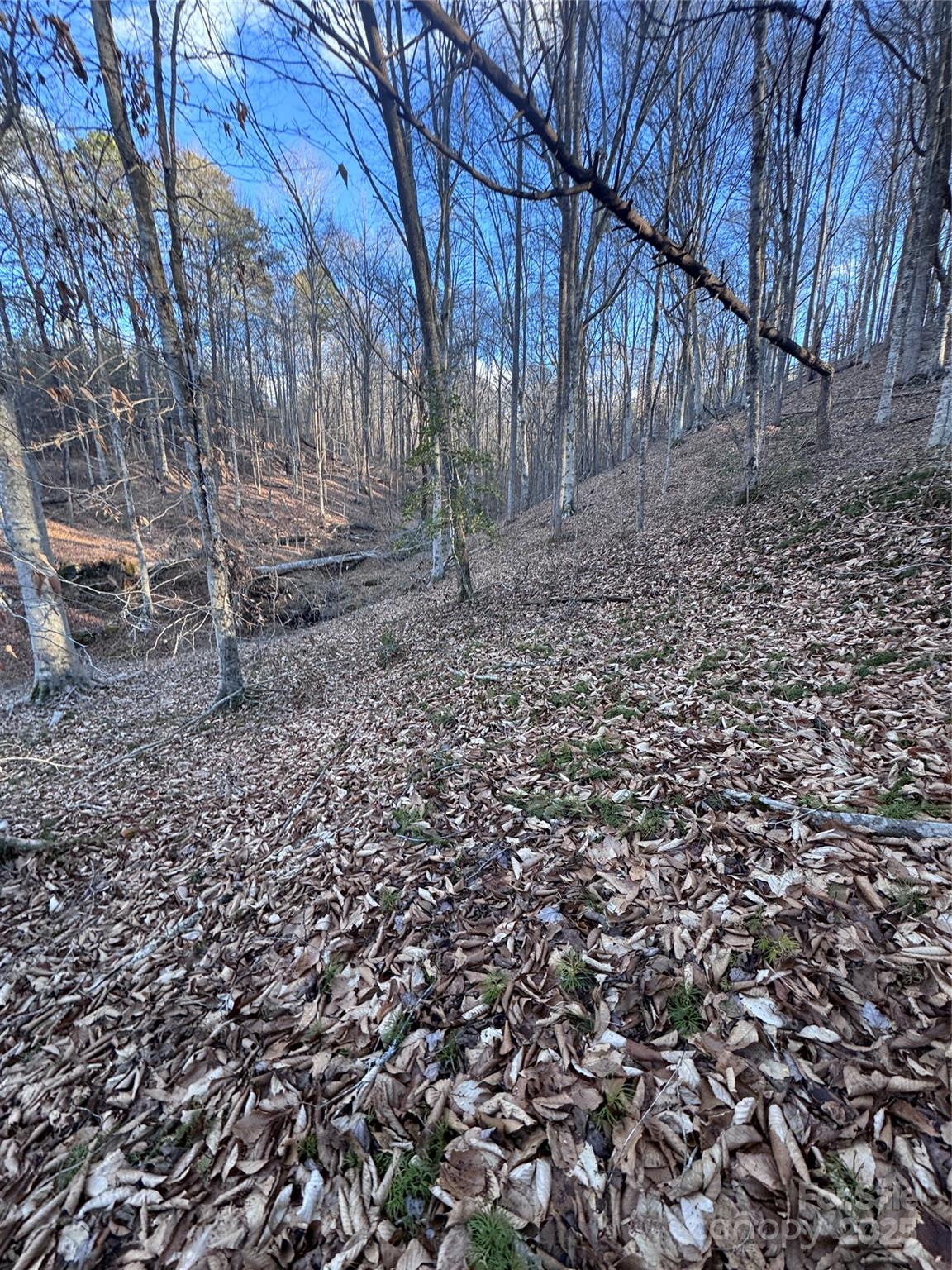 0 Creekside Circle, Unit 126 Rutherfordton, NC 28139 - Photo 2 of 16 a view of yard with green space