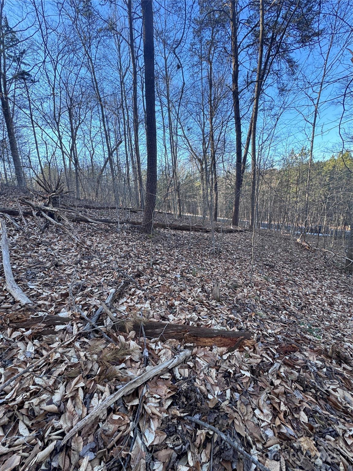 0 Creekside Circle, Unit 126 Rutherfordton, NC 28139 - Photo 3 of 16 a view of a yard with large trees