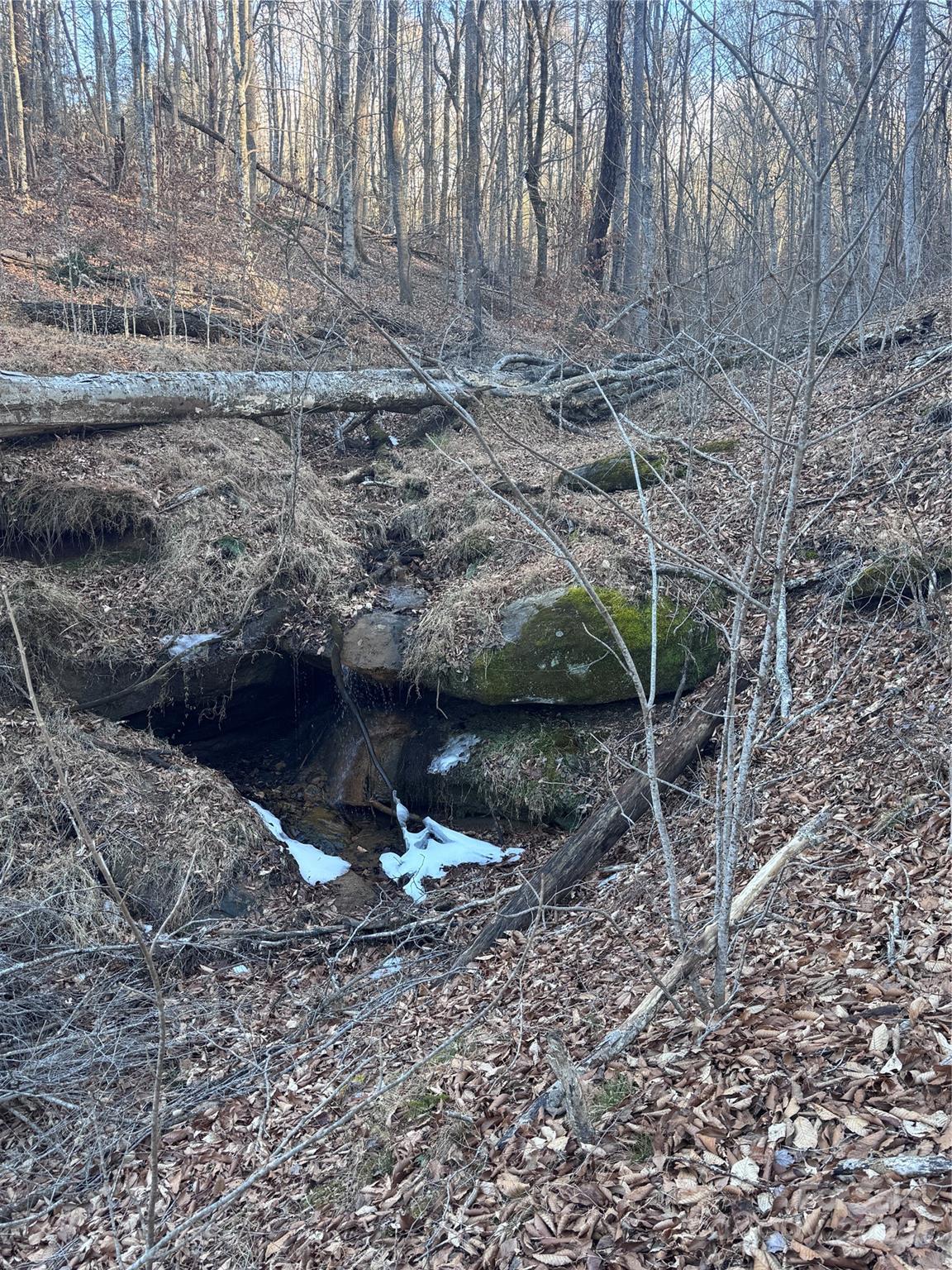 0 Creekside Circle, Unit 126 Rutherfordton, NC 28139 - Photo 4 of 16 a view of a yard
