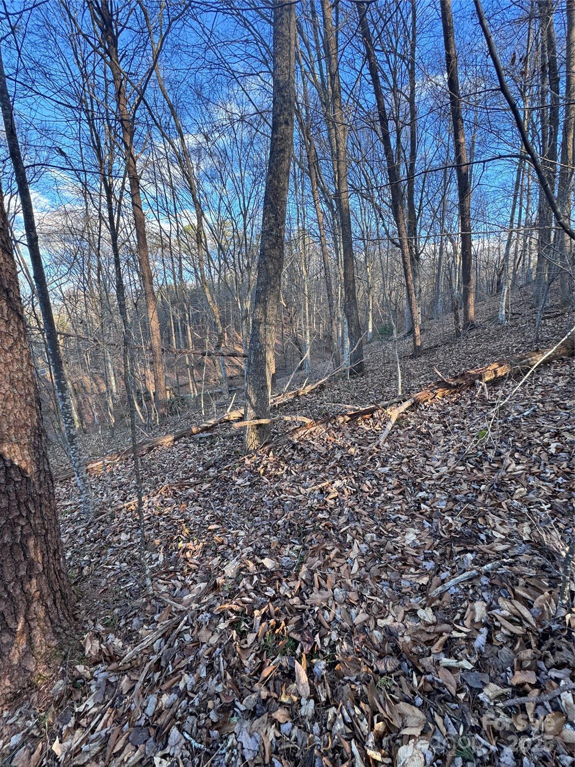 0 Creekside Circle, Unit 126 Rutherfordton, NC 28139 - Photo 5 of 16 a backyard of a house with lots of green space