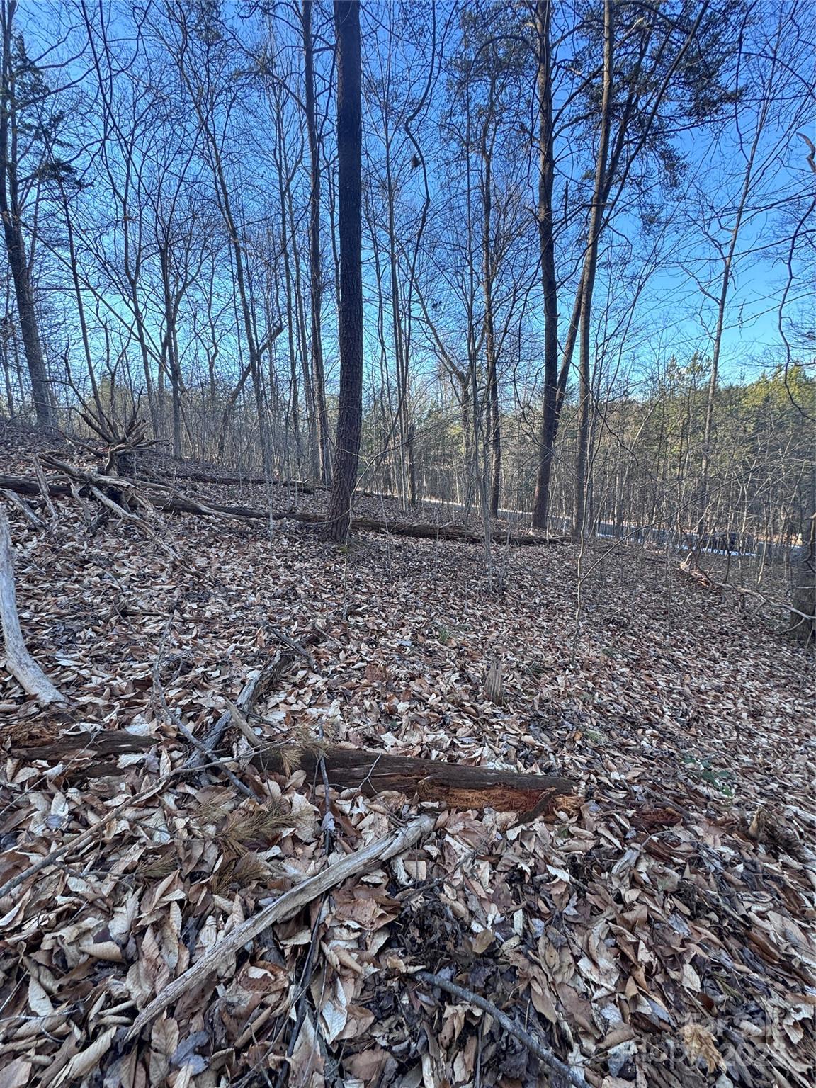 0 Creekside Circle, Unit 126 Rutherfordton, NC 28139 - Photo 7 of 16 a backyard of a house with lots of green space