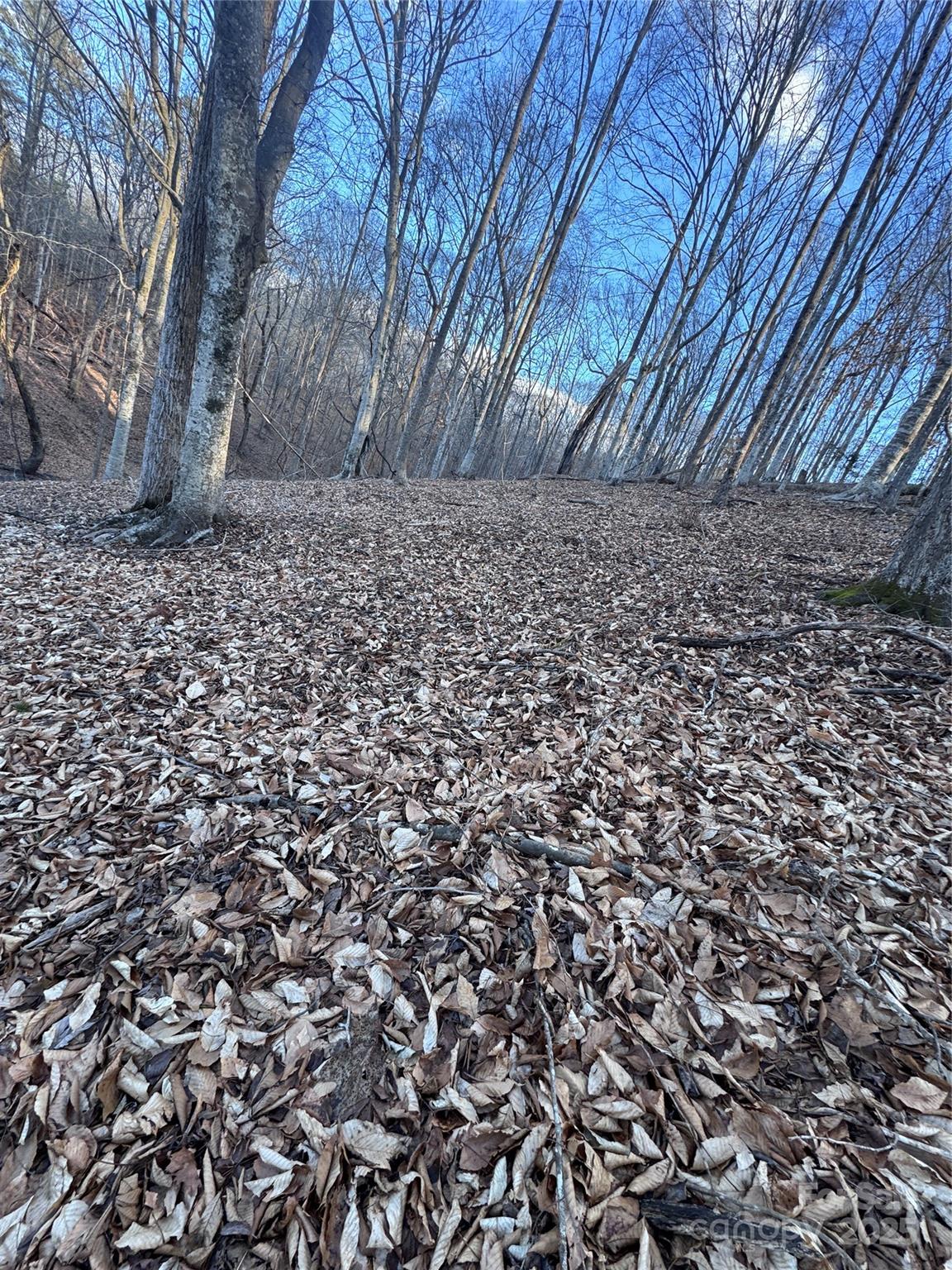 0 Creekside Circle, Unit 126 Rutherfordton, NC 28139 - Photo 8 of 16 a backyard of a house with lots of green space