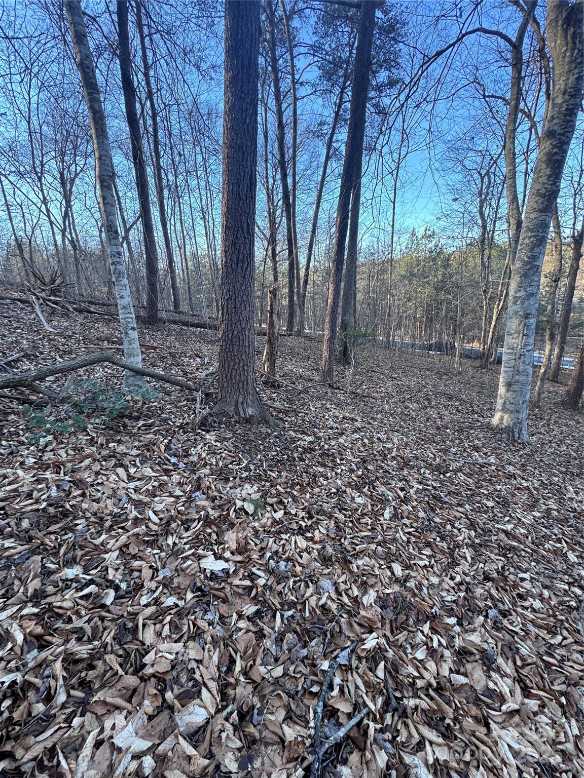 0 Creekside Circle, Unit 126 Rutherfordton, NC 28139 - Photo 9 of 16 a view of house with trees all around