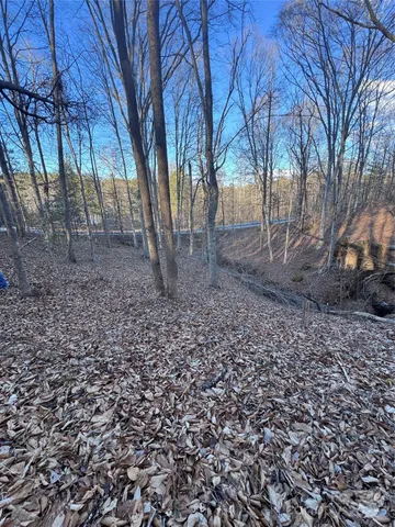 a view of house with trees in the background