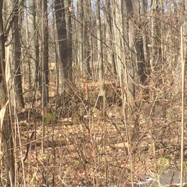 0 Marquette Road Goodells, MI 48027 - Photo 5 of 5
