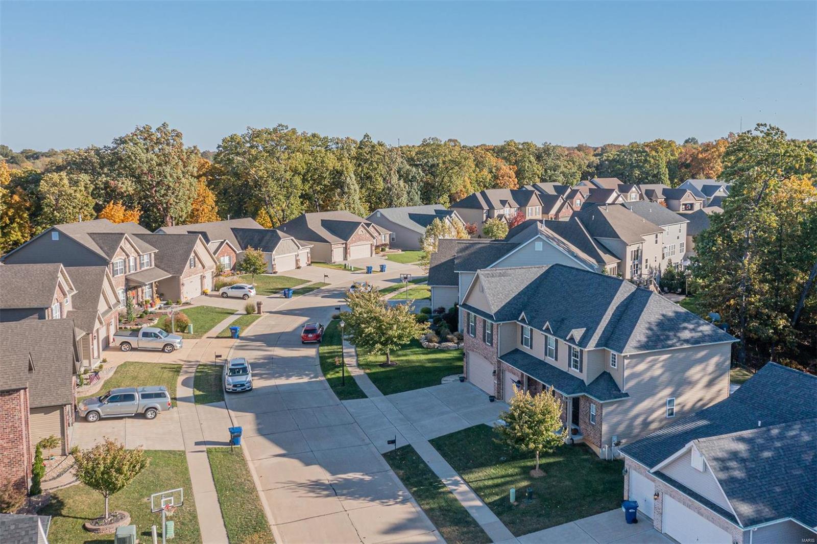 1239 Spring Lilly Drive High Ridge, MO 63049 - Photo 64 of 65