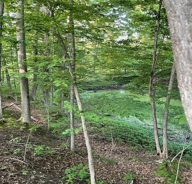 0 East Stockwell Road Harrison, MI 48625 - Photo 25 of 34