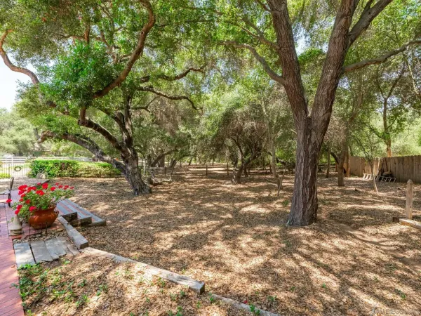 a view of outdoor space with trees