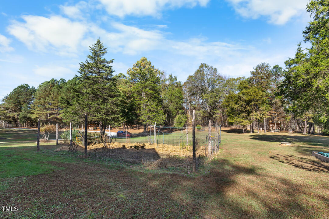 10714 Wilkins Road Rougemont, NC 27572 - Photo 29 of 40 a view of a park with trees in the background