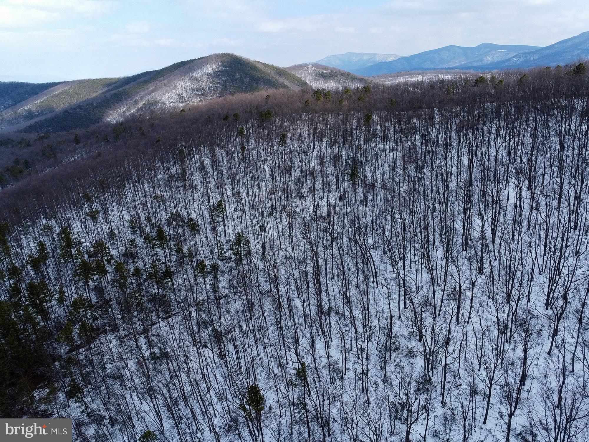 Cubbage Hollow Road Stanley, VA 22851 - Photo 11 of 23 a view of a dry yard with mountains in the background